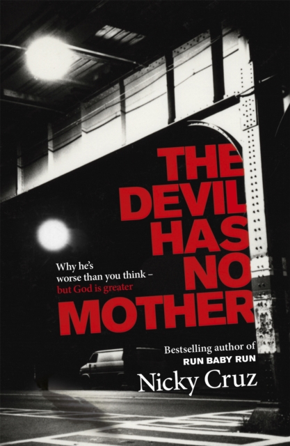 Book cover of The Devil Has No Mother