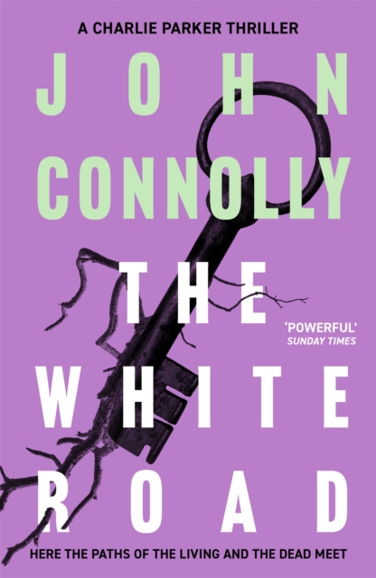 Book cover of The White Road