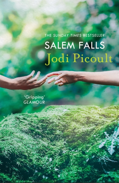 Book cover of Salem Falls
