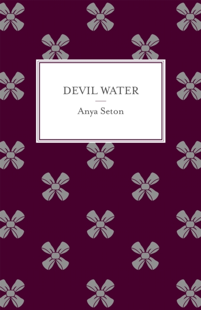 Book cover of Devil Water