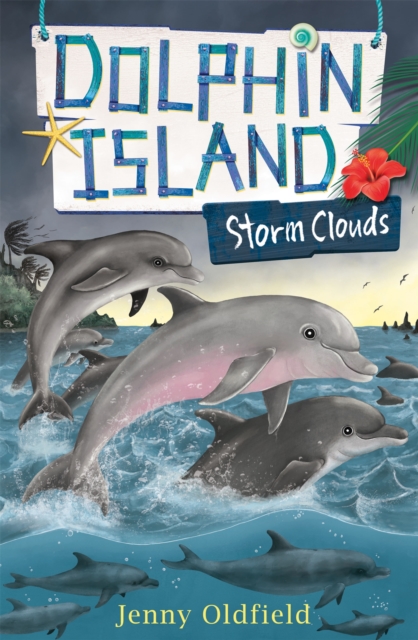 Book cover of Dolphin Island: Storm Clouds