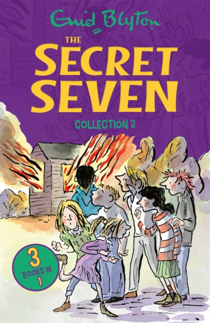 Book cover of The Secret Seven Collection 2