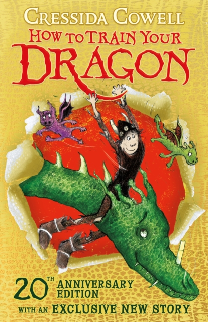 how to train your dragon book cover