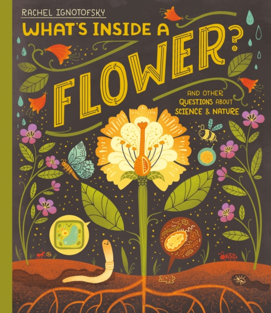 Book cover of What's Inside a Flower?