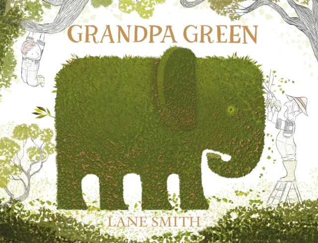 Book cover of Grandpa Green