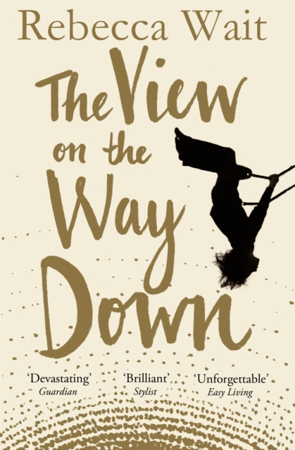 Book cover of The View on the Way Down