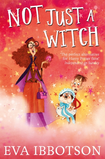 Book cover of Not Just a Witch