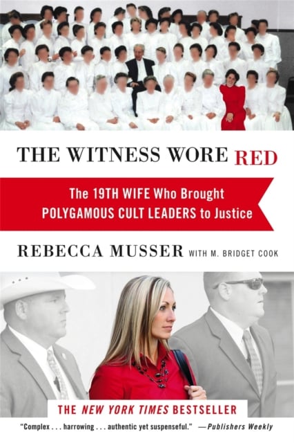 Book cover of The Witness Wore Red
