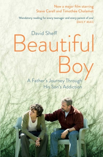 Book cover of Beautiful Boy