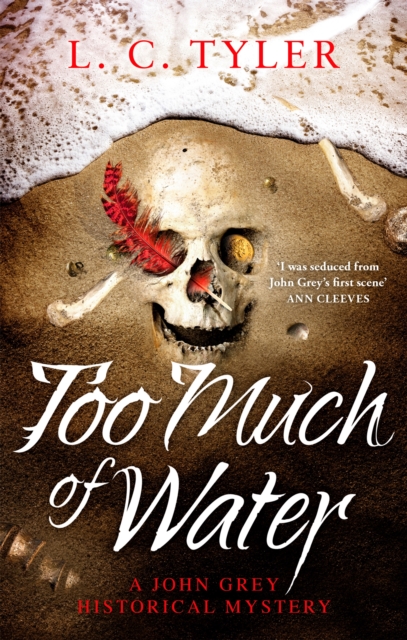 Book cover of Too Much of Water