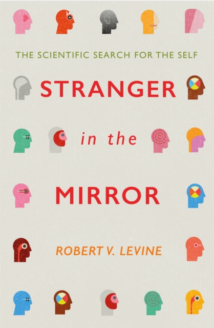 Book cover of Stranger in the Mirror