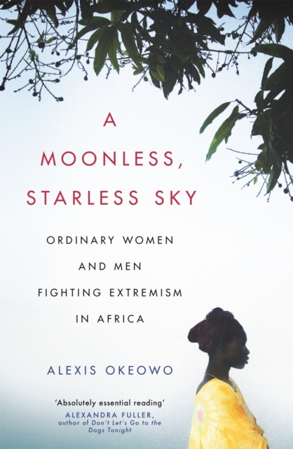 Book cover of A Moonless, Starless Sky