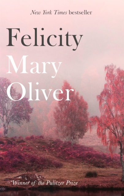 Book cover of Felicity