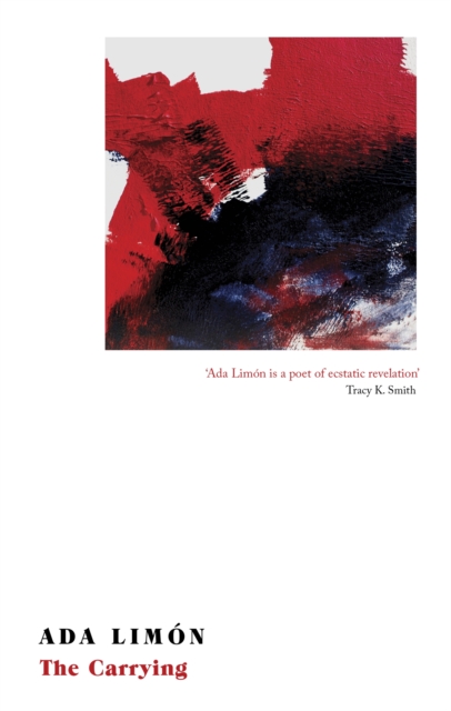 Book cover of The Carrying