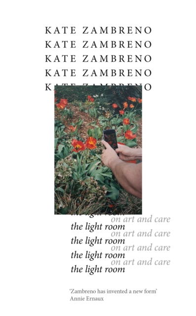 Book cover of The Light Room