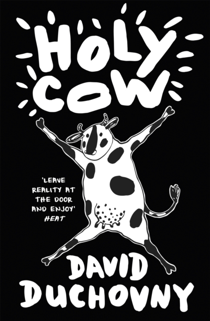 Book cover of Holy Cow