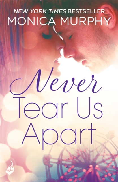 Book cover of Never Tear Us Apart: Never Series 1