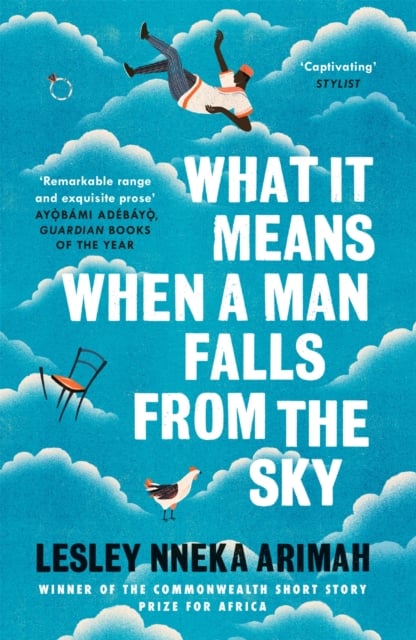 Book cover of What It Means When A Man Falls From The Sky