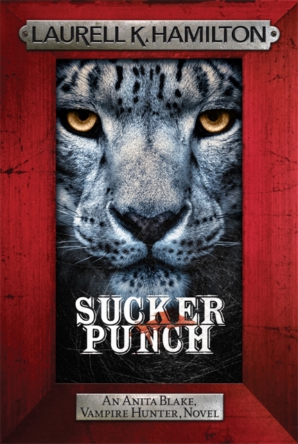 Book cover of Sucker Punch
