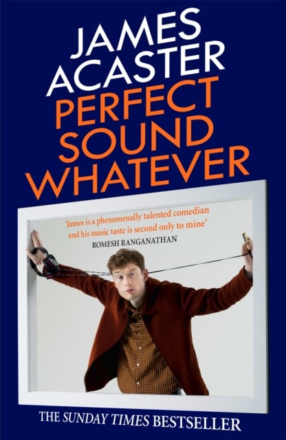 Book cover of Perfect Sound Whatever