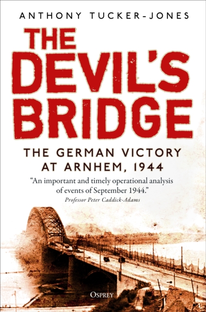 Book cover of The Devil's Bridge