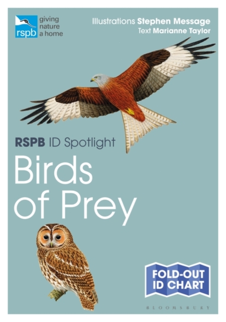 Book cover of RSPB ID Spotlight - Birds of Prey