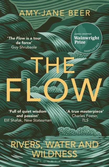 Book cover of The Flow