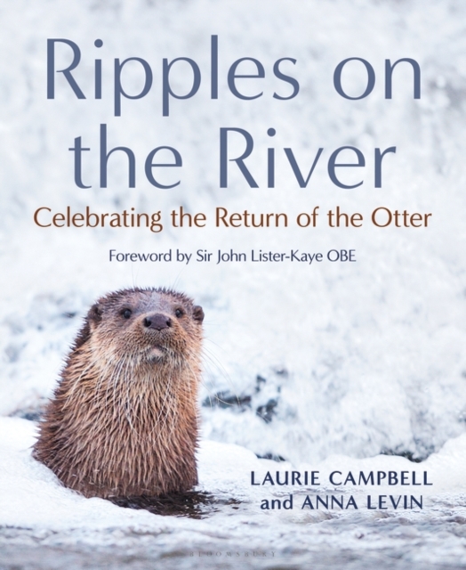 Book cover of Ripples on the River
