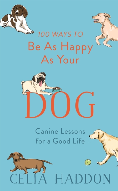 Book cover of 100 Ways to Be As Happy As Your Dog