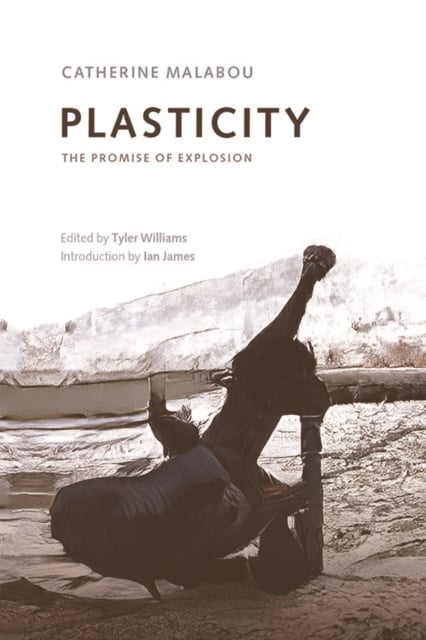 Book cover of Plasticity