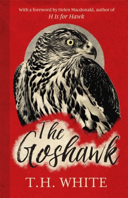 Book cover of The Goshawk