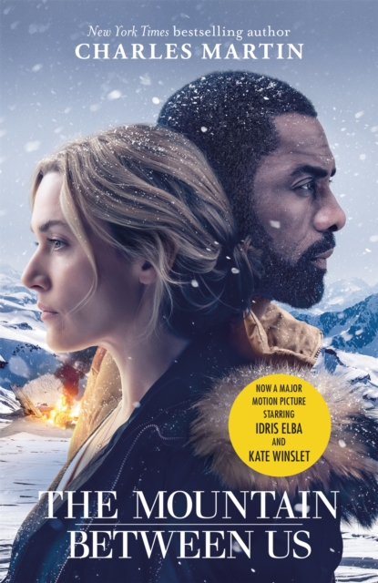 Book cover of The Mountain Between Us