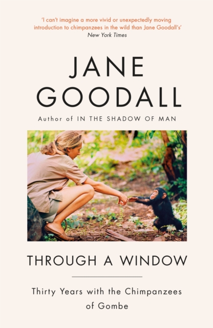 Book cover of Through A Window