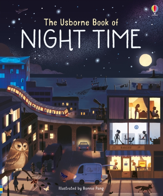 Book cover of Usborne Book of Night Time