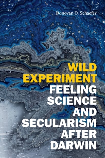 donovan schaefer wild experiment