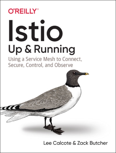 Book cover of Istio: Up and Running