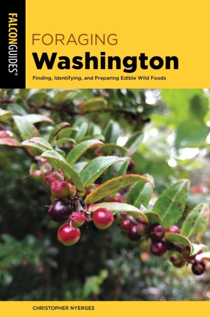 Book cover of Foraging Washington