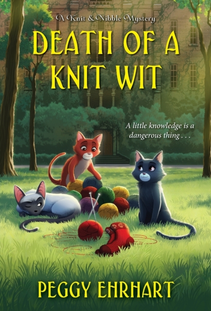 Book cover of Death of a Knit Wit