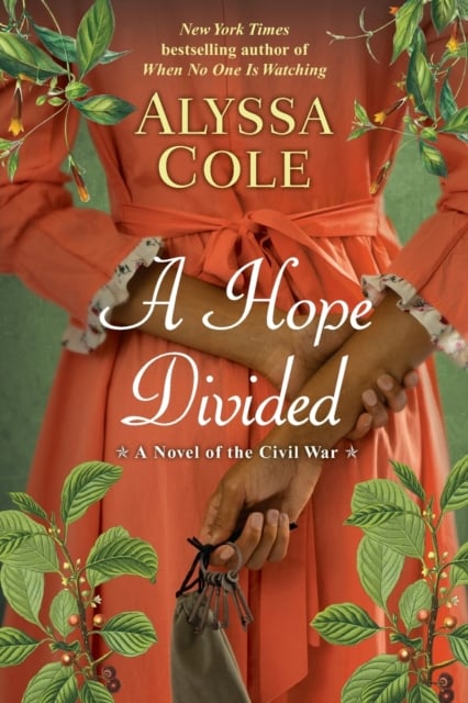 Book cover of A Hope Divided