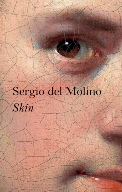 Book cover of Skin