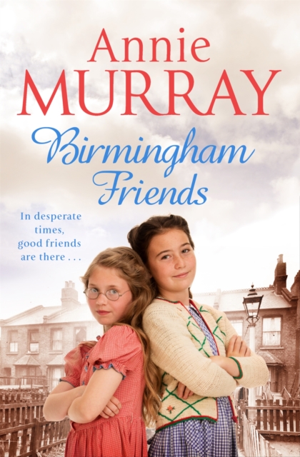 Book cover of Birmingham Friends