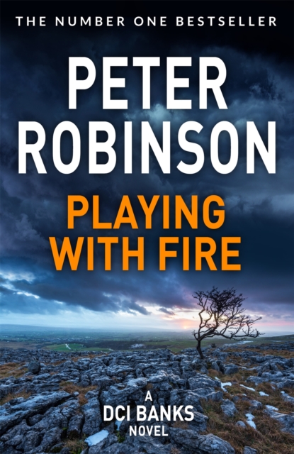 Book cover of Playing With Fire