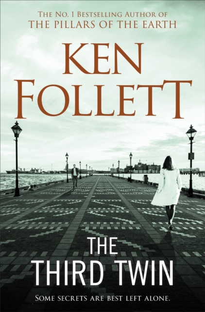 Book cover of The Third Twin
