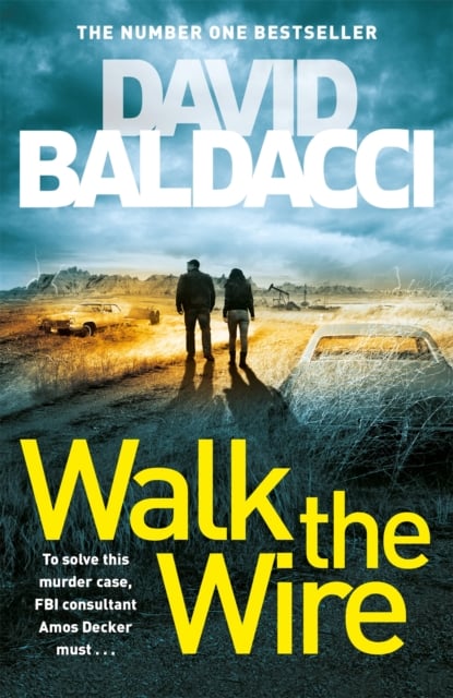 Book cover of Walk the Wire