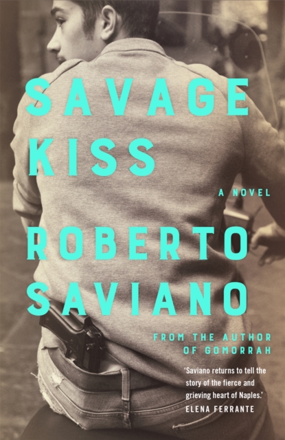 Book cover of Savage Kiss
