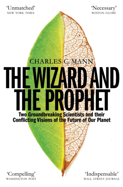Book cover of The Wizard and the Prophet