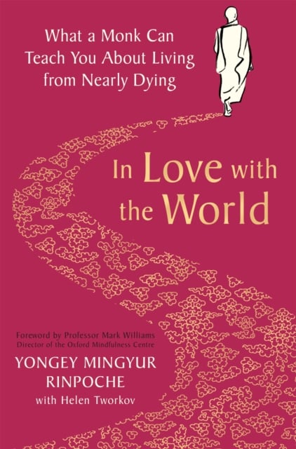 Book cover of In Love with the World