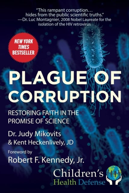 Book cover of Plague of Corruption