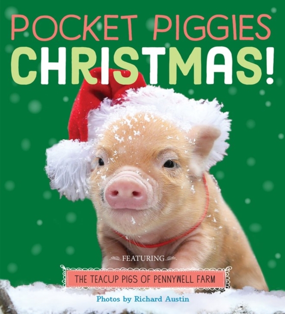 Book cover of Pocket Piggies: Christmas!