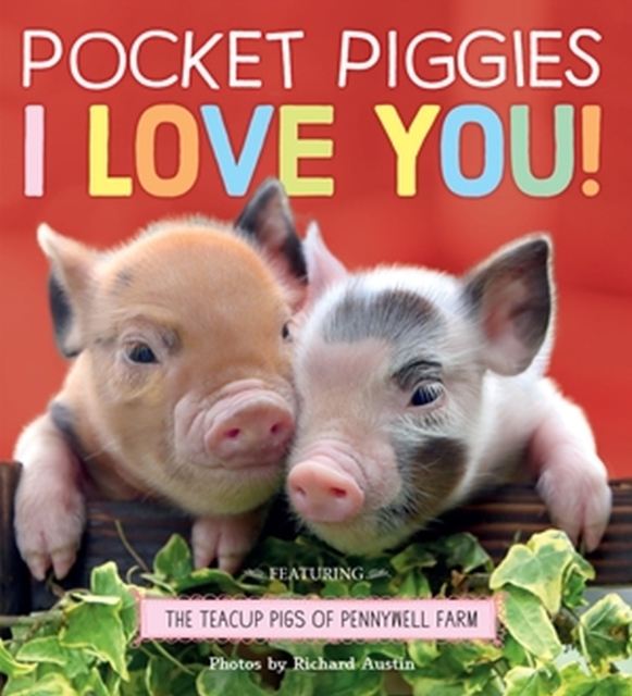 Book cover of Pocket Piggies: I Love You!